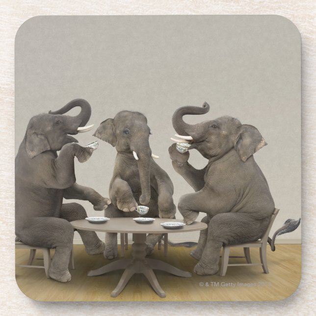 Elephants having tea party coaster (Front)