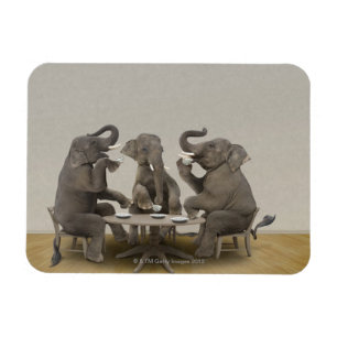 Elephants having tea party magnet
