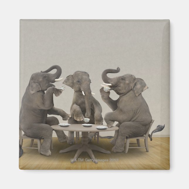 Elephants having tea party magnet (Front)