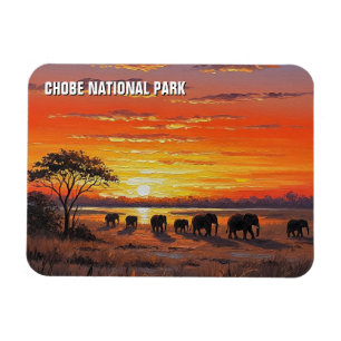 Elephants in Chobe National Park Botswana Magnet
