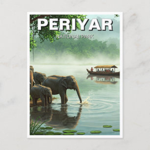 Elephants in Periyar National Park India Travel Postcard