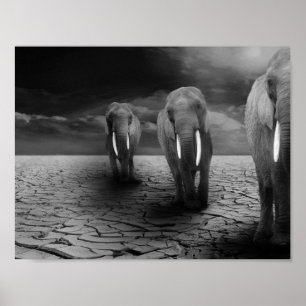 Elephants in the Desert Poster