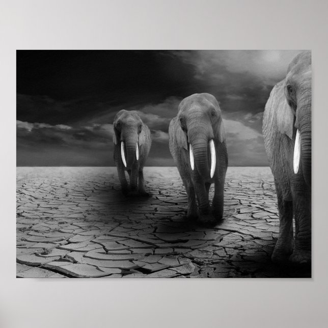Elephants in the Desert Poster (Front)