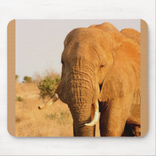 Elephants Mouse Mat