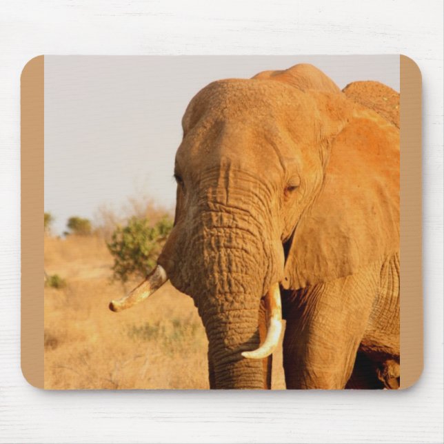 Elephants Mouse Mat (Front)