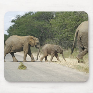 Elephants Mouse Mat
