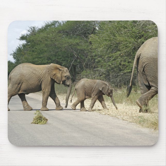 Elephants Mouse Mat (Front)