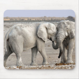 Elephants Mouse Mat