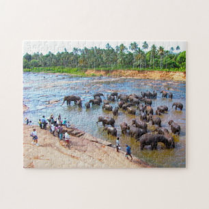 Elephants of Sri Lanka. Jigsaw Puzzle
