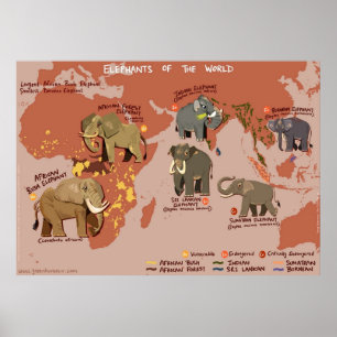 Elephants of the World Poster