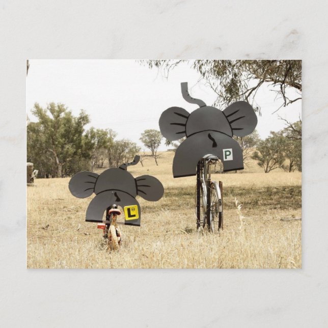 Elephants on Bikes Postcard (Front)