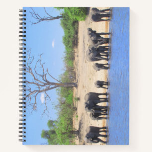 Elephants on the River Spiral Bound Notebook
