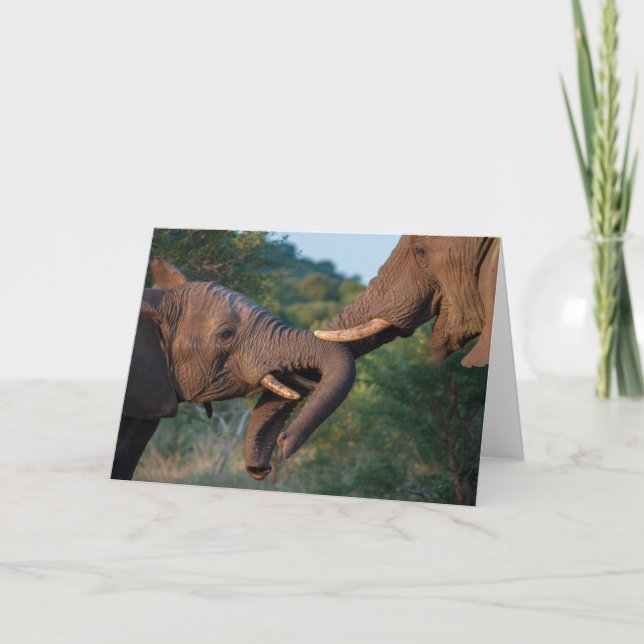 Elephants Playing Card (Front)