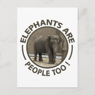 ELEPHANTS postcard