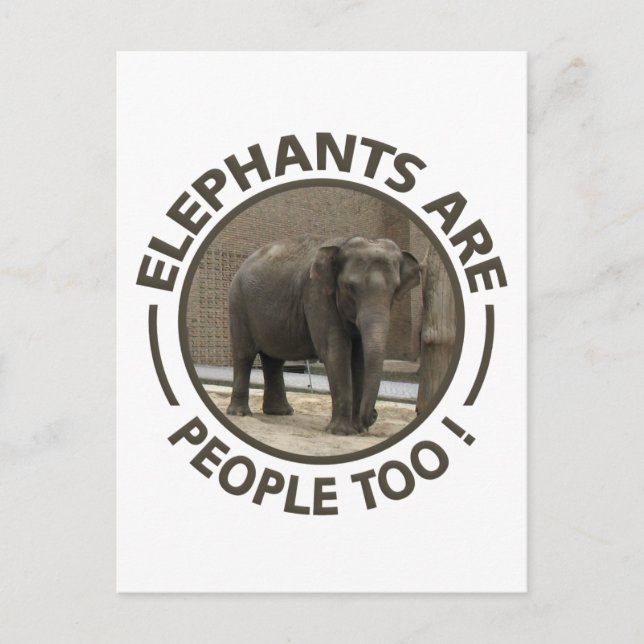 ELEPHANTS postcard (Front)