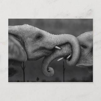 Elephants Postcard