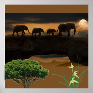 Elephants Poster