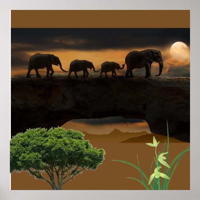 Elephants Poster (Front)