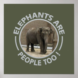 ELEPHANTS poster