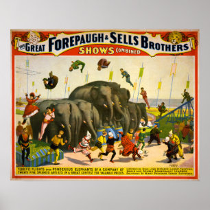 Elephants Poster