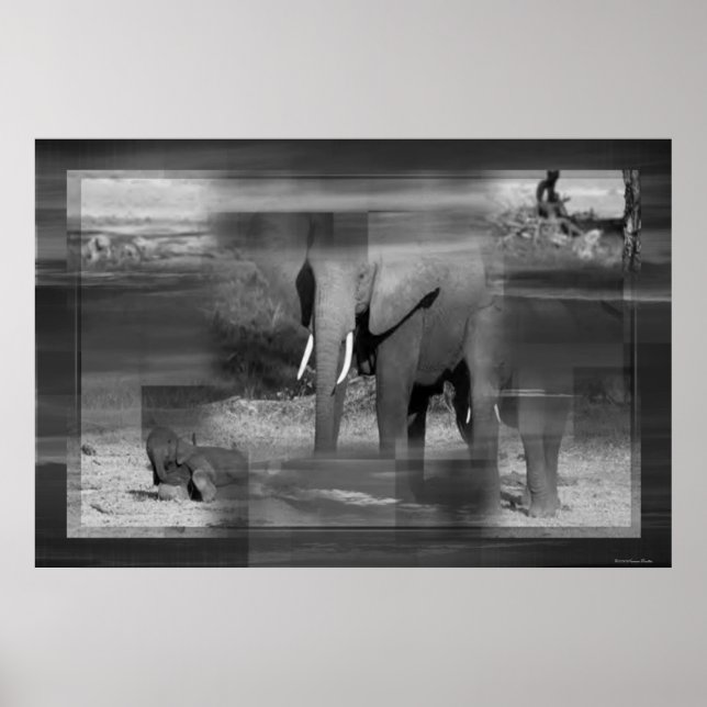 Elephants Print (Front)