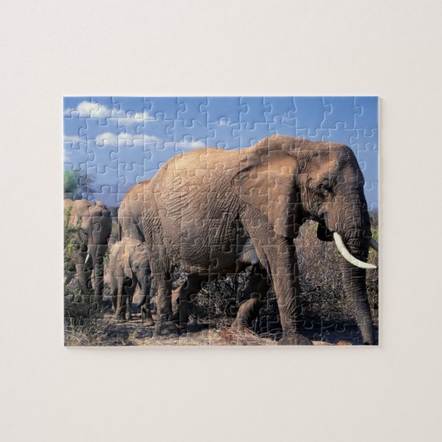 Elephants Puzzle (Horizontal)