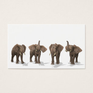 Elephants Quartet
