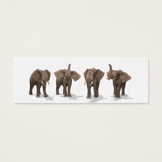 Elephants Quartet (Front)