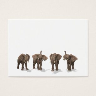 Elephants Quartet