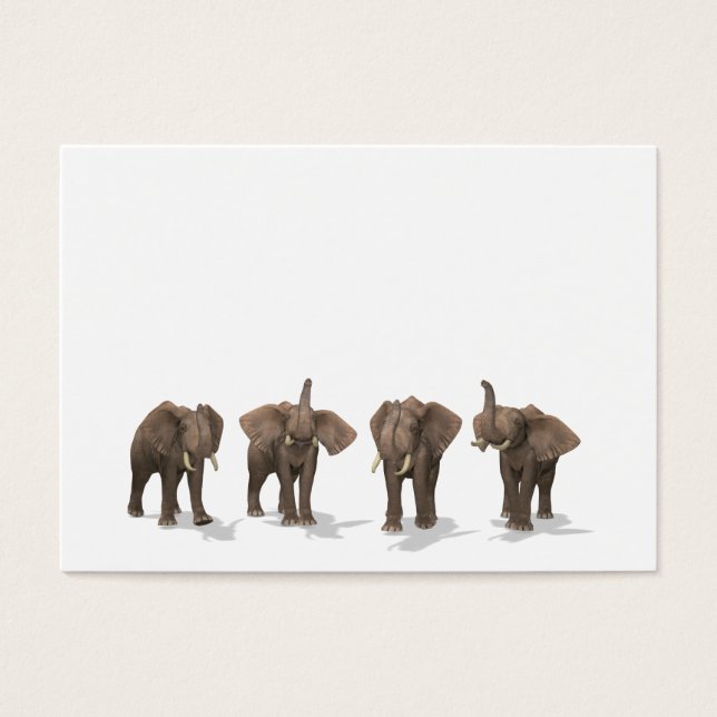Elephants Quartet (Front)