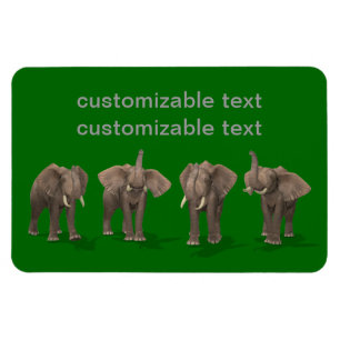 Elephants Quartet Magnet