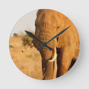 Elephants Round Clock
