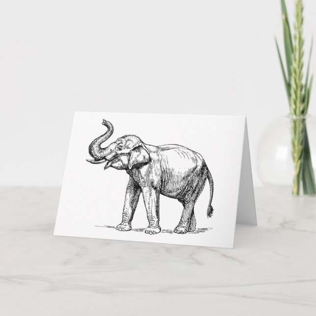 Elephants Rule Card (Front)