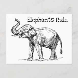 Elephants Rule Postcard
