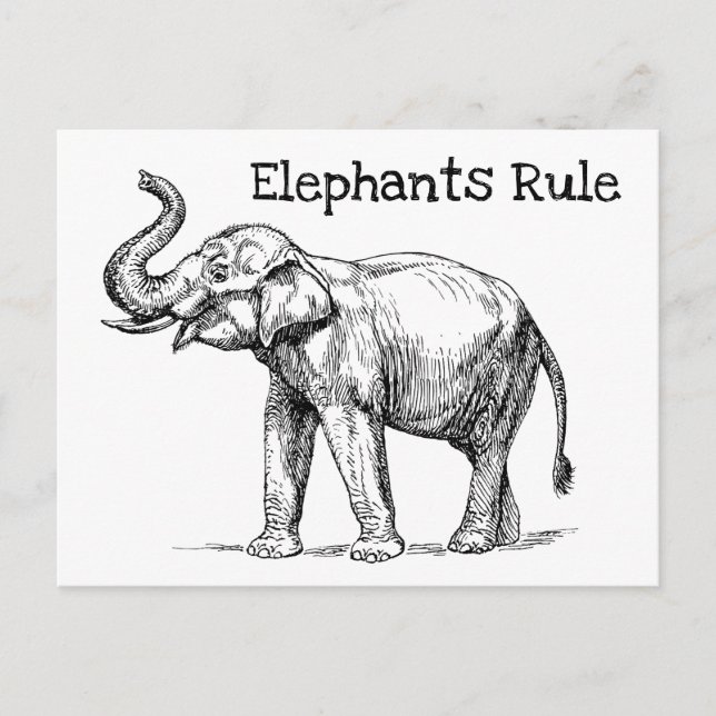 Elephants Rule Postcard (Front)