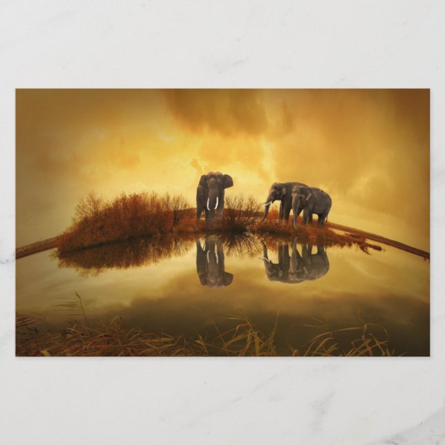 Elephants Scrapbook Paper (Front)