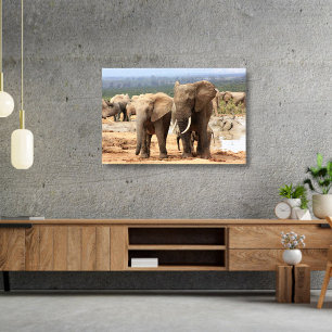 Elephants side by side Canvas Framed Print