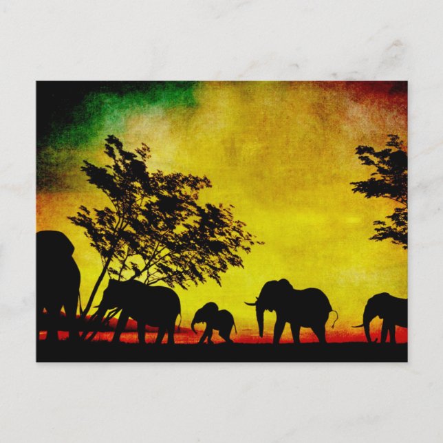 Elephants Sunset Postcard (Front)