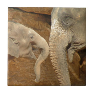 ELEPHANTS TILE