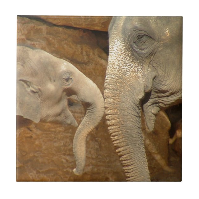 ELEPHANTS TILE (Front)