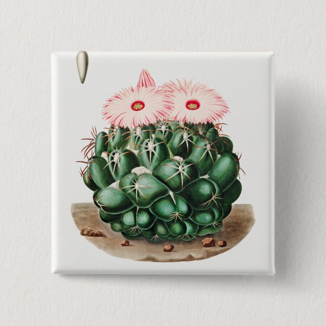 Elephant's Tooth Cactus Flower illustration 15 Cm Square Badge (Front)