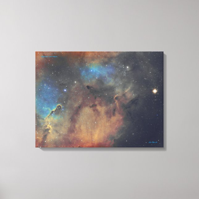 Elephant's Trunk Nebula - Medium Canvas Print (Front)