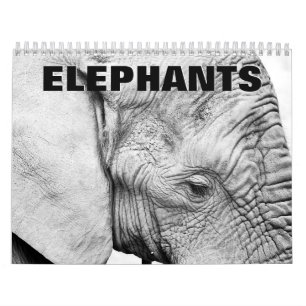 Elephants Wall Calendar