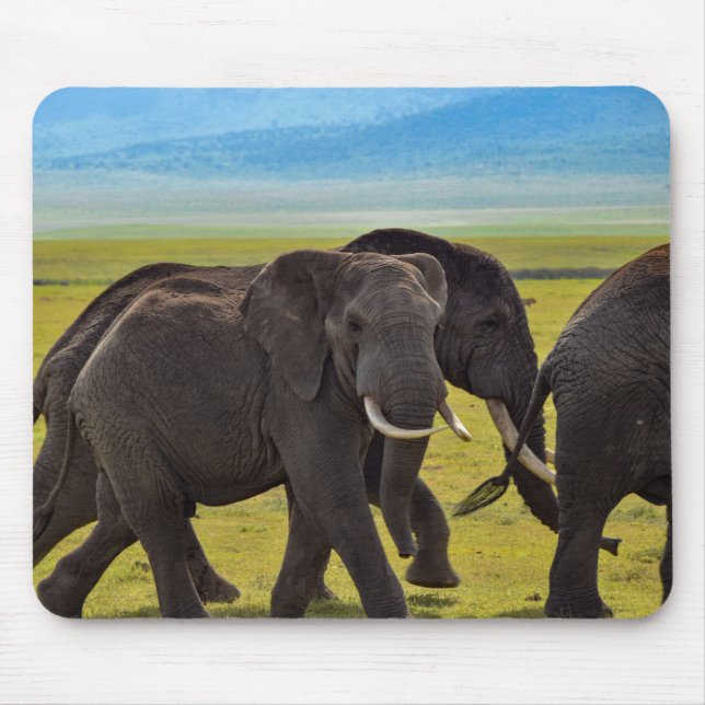 Elephants, Wildlife, Nature Mouse Mat (Front)