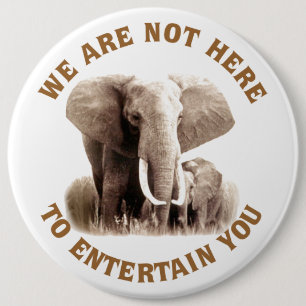 Elephats Deserve Respect 6 Cm Round Badge
