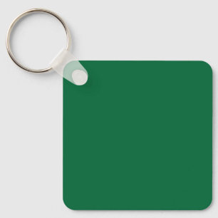 Elevate your Web Design with a Green Background Key Ring