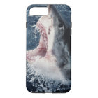 Elevated Shark mouth open