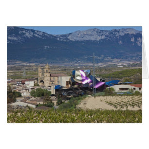 Elevated town view and Hotel Marques de Riscal 2