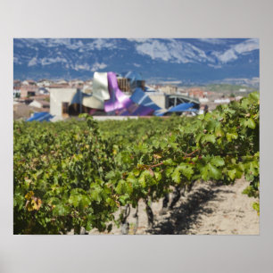 Elevated town view and Hotel Marques de Riscal Poster