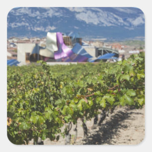 Elevated town view and Hotel Marques de Riscal Square Sticker